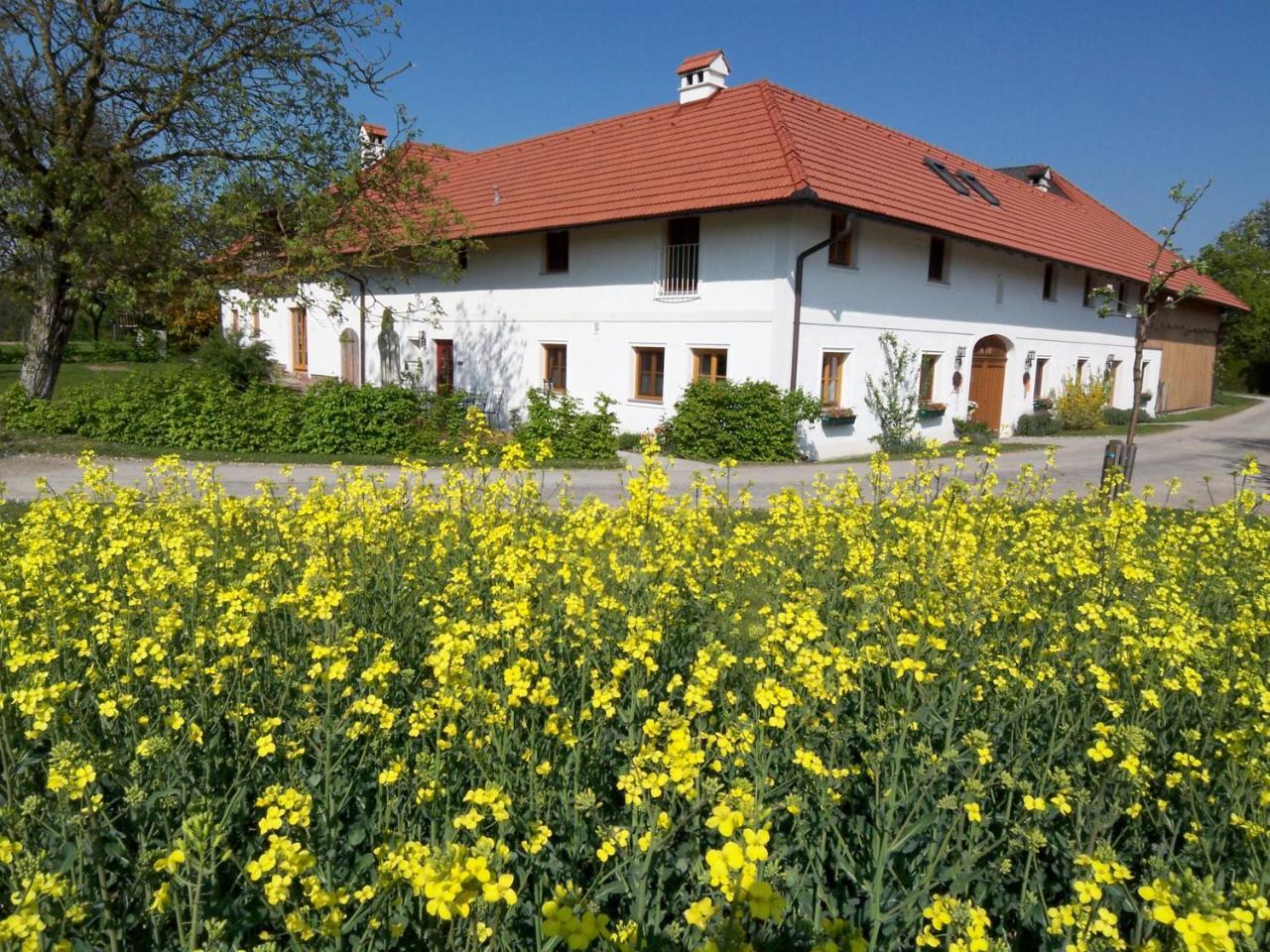 Vitalhof Roithinger Grieskirchen Buitenkant foto